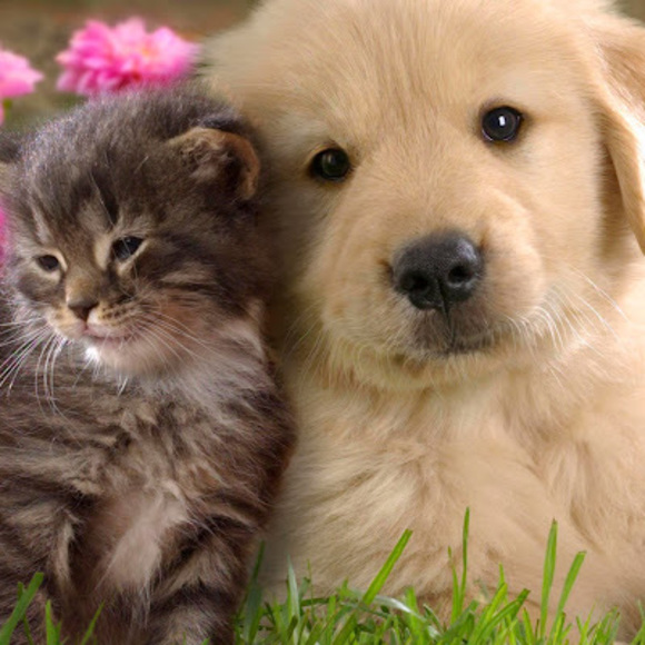 Meet your Posher, Liz - Picture 1 of 1